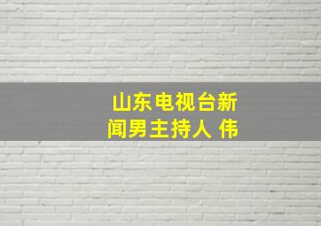 山东电视台新闻男主持人 伟